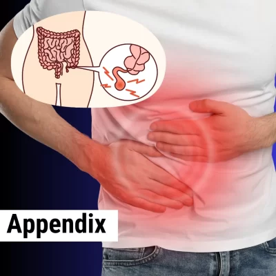 appendix